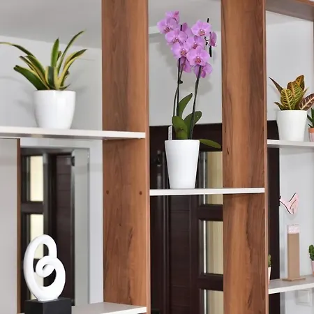 Apartament Angela *